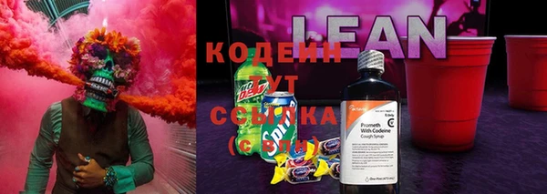 стафф Дмитровск